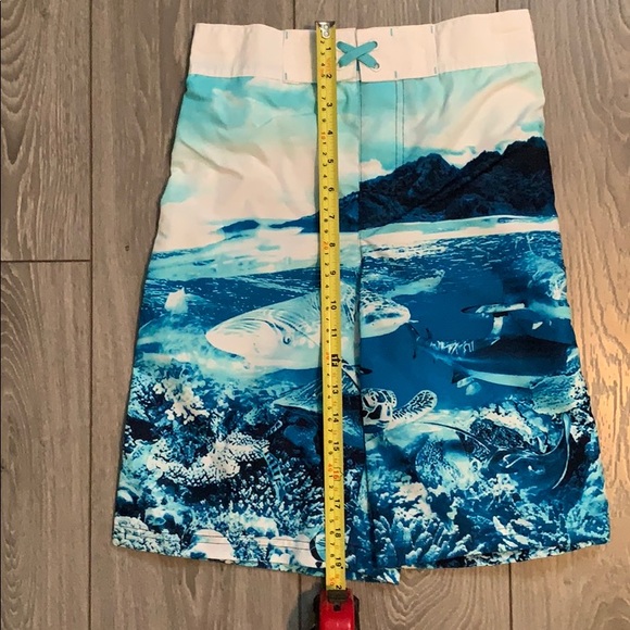 Swim Trunks / Shorts - Lined - Boys NEW - Picture 7 of 8